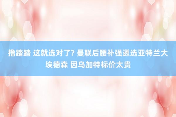 撸踏踏 这就选对了? 曼联后腰补强遴选亚特兰大埃德森 因乌加特标价太贵