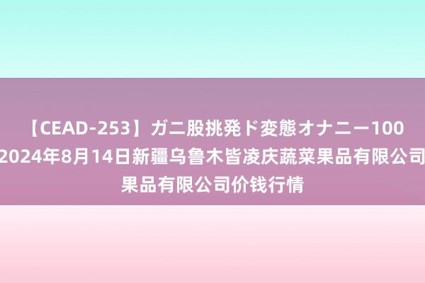 【CEAD-253】ガニ股挑発ド変態オナニー100人8時間 2024年8月14日新疆乌鲁木皆凌庆蔬菜果品有限公司价钱行情