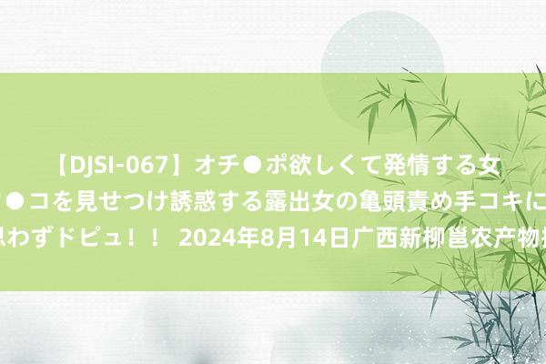 【DJSI-067】オチ●ポ欲しくて発情する女たち ところ構わずオマ●コを見せつけ誘惑する露出女の亀頭責め手コキに思わずドピュ！！ 2024年8月14日广西新柳邕农产物批发阛阓有限公司价钱行情