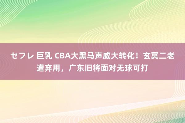 セフレ 巨乳 CBA大黑马声威大转化！玄冥二老遭弃用，广东旧将面对无球可打