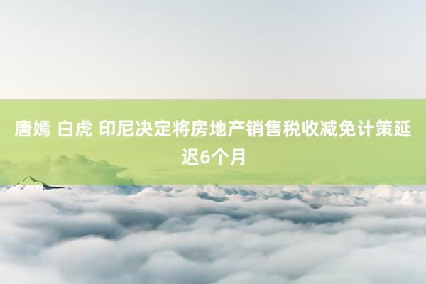 唐嫣 白虎 印尼决定将房地产销售税收减免计策延迟6个月