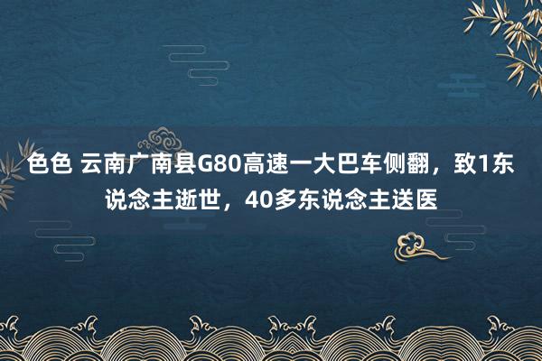 色色 云南广南县G80高速一大巴车侧翻，致1东说念主逝世，40多东说念主送医