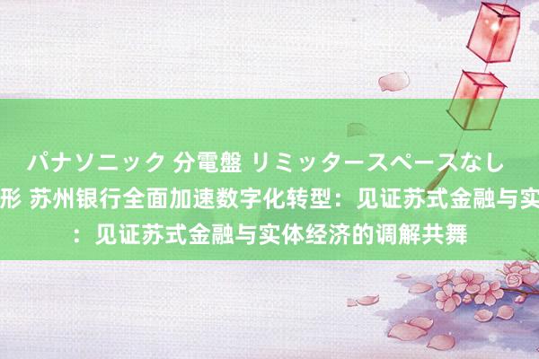 パナソニック 分電盤 リミッタースペースなし 露出・半埋込両用形 苏州银行全面加速数字化转型：见证苏式金融与实体经济的调解共舞