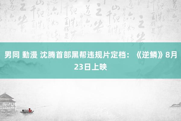 男同 動漫 沈腾首部黑帮违规片定档：《逆鳞》8月23日上映