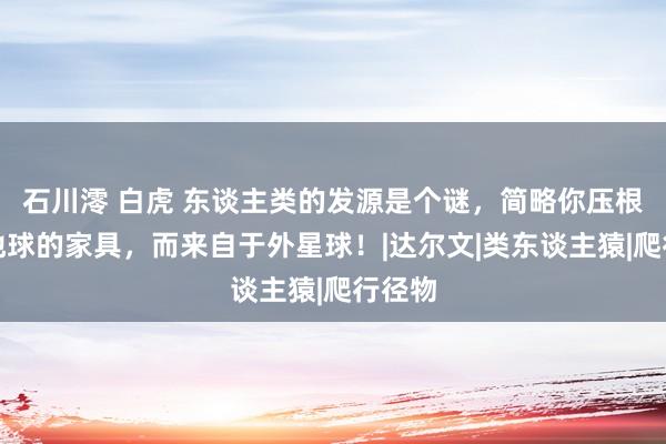 石川澪 白虎 东谈主类的发源是个谜，简略你压根不是地球的家具，而来自于外星球！|达尔文|类东谈主猿|爬行径物