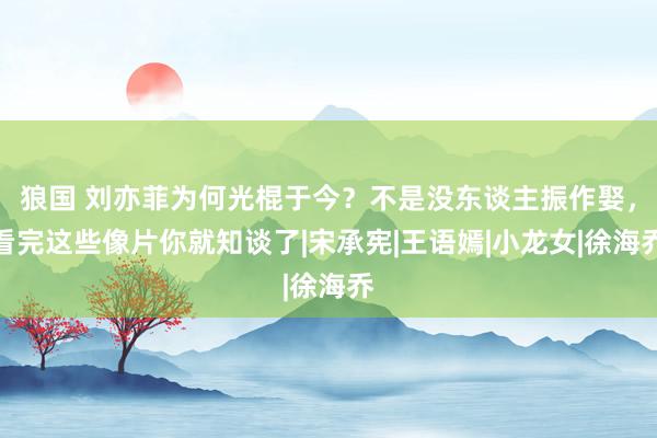 狼国 刘亦菲为何光棍于今？不是没东谈主振作娶，看完这些像片你就知谈了|宋承宪|王语嫣|小龙女|徐海乔