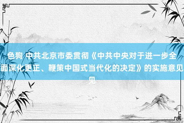 色狗 中共北京市委贯彻《中共中央对于进一步全面深化更正、鞭策中国式当代化的决定》的实施意见