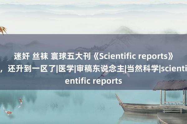 迷奸 丝袜 寰球五大刊《Scientific reports》不仅没预警，还升到一区了|医学|审稿东说念主|当然科学|scientific reports